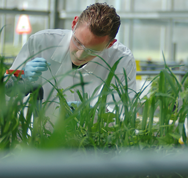 Innovazione in agricoltura, un obiettivo ancora lontano