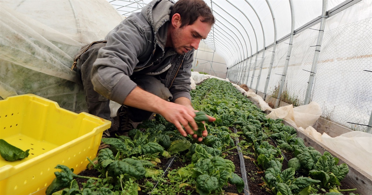 Ue e Bei: 1 miliardo di prestiti per i giovani agricoltori