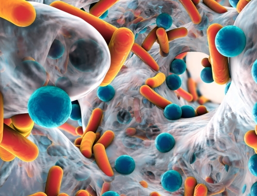 Efsa, passi avanti nella lotta all’antibiotico resistenza