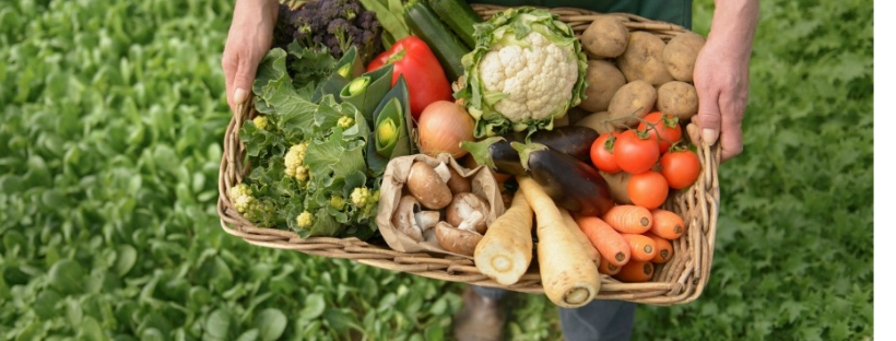 Buono, sano e bio: le scelte degli italiani a tavola