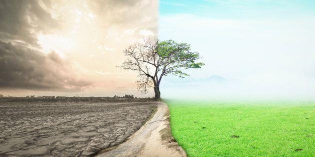 Latte, cooperative Usa in campo per la sostenibilità ambientale