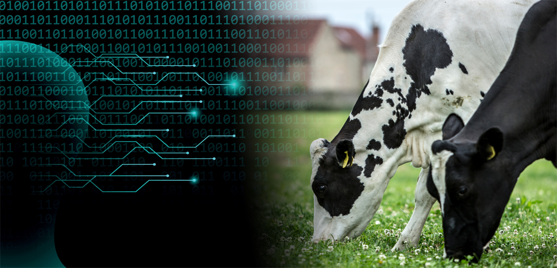 Arla ora punta anche sull'intelligenza artificiale