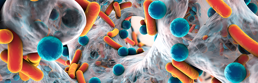 Australia, appello dei ricercatori per ridurre l'uso di antibiotici negli allevamenti