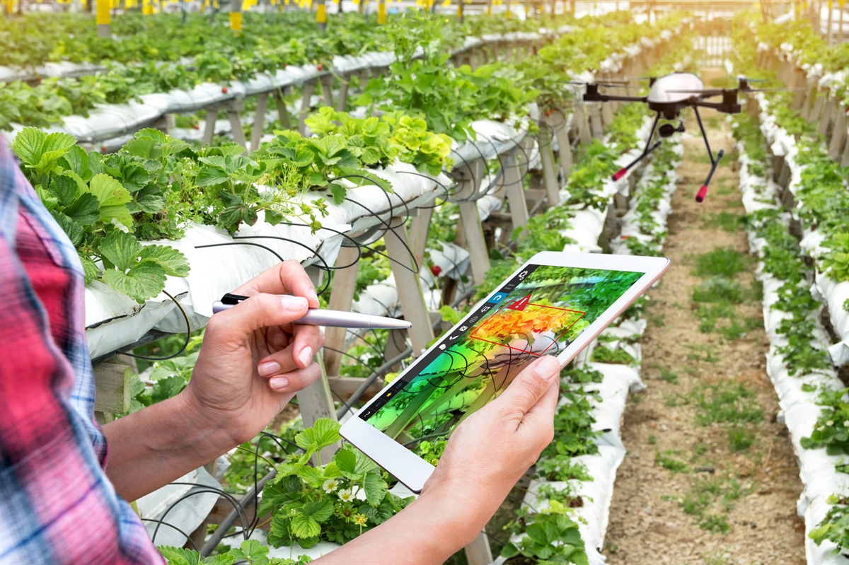 Per il futuro dell'agricoltura, l'innovazione ha un ruolo chiave