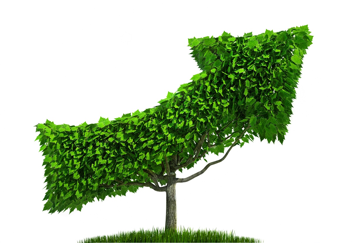 Decreto Clima, via libera dal Consiglio dei ministri