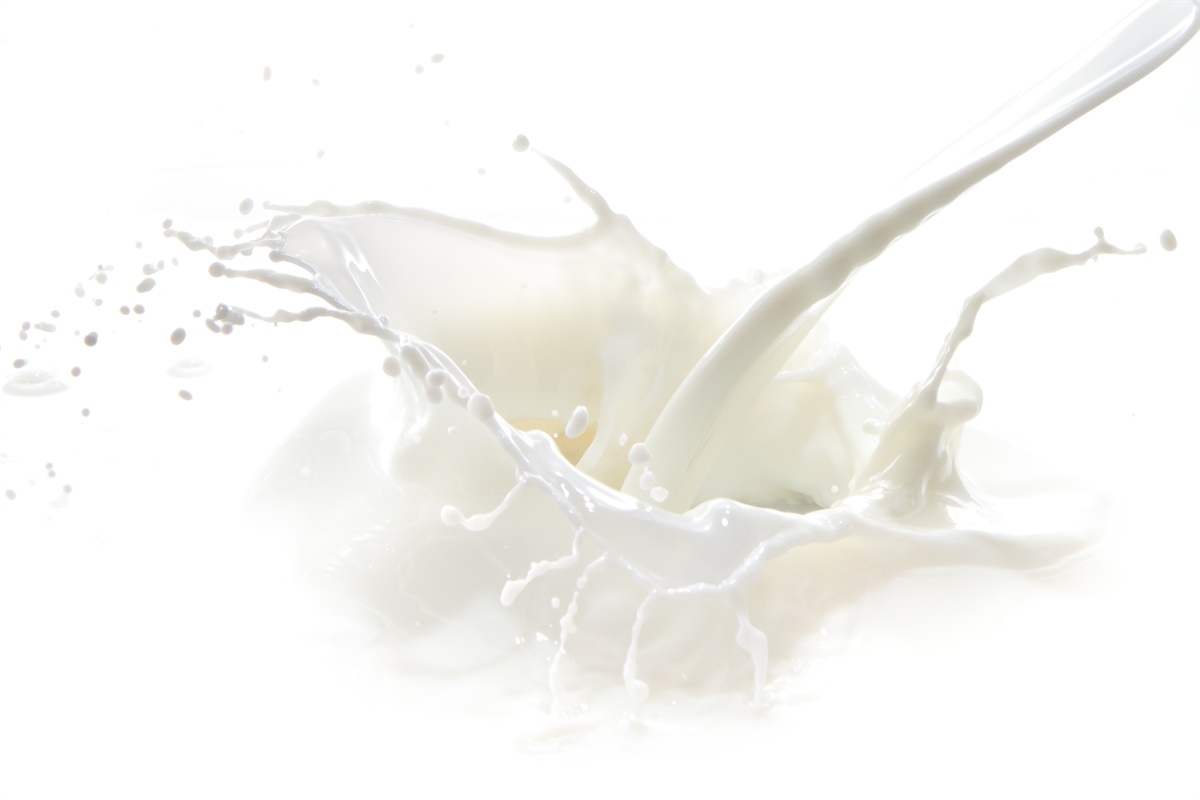 Belgio, nuove linee guida per latte e formaggi