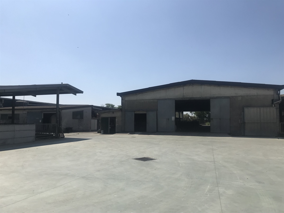 "L'impianto biogas ha rivoluzionato la gestione aziendale"