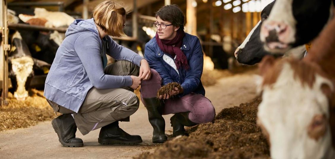 Arla Food ora scommette sui big data