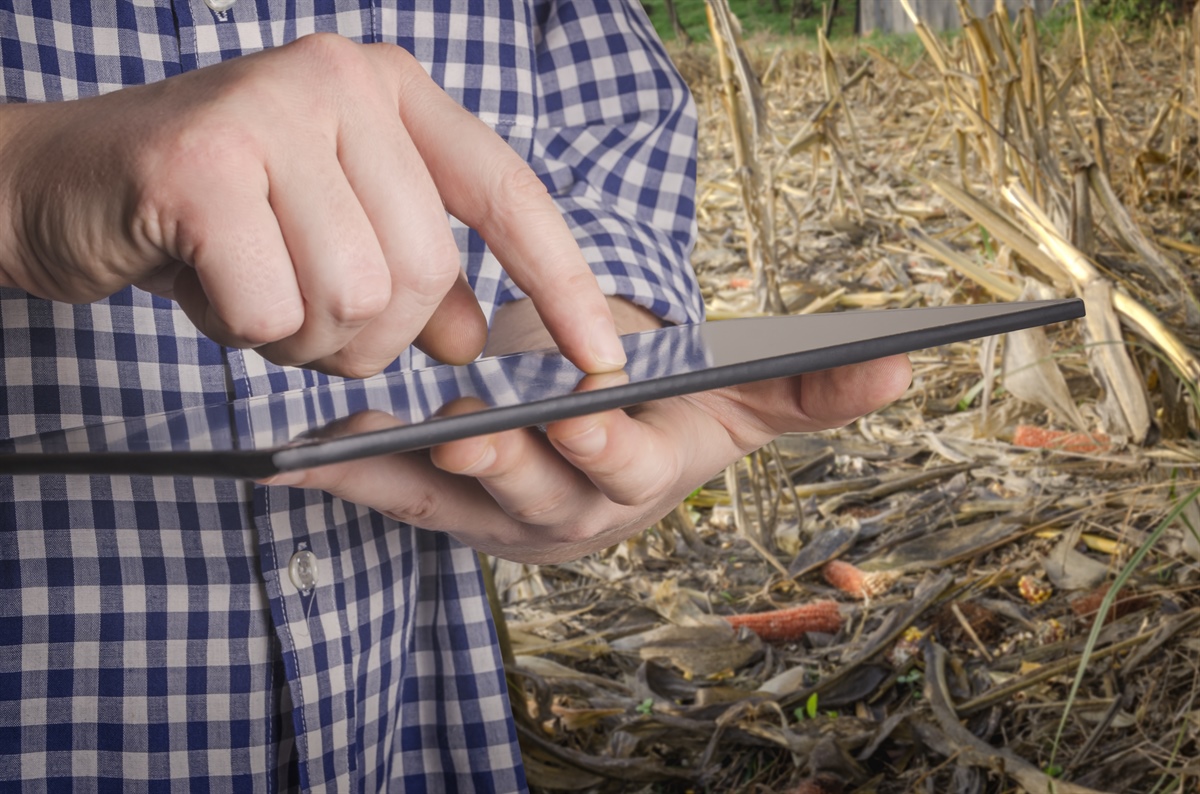 Indagine Ismea, polizza assicurativa strumento cardine per gli agricoltori