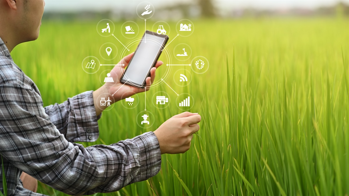 L'Italia coordinerà Fields, progetto Ue per la formazione di agricoltori green e hi-tech