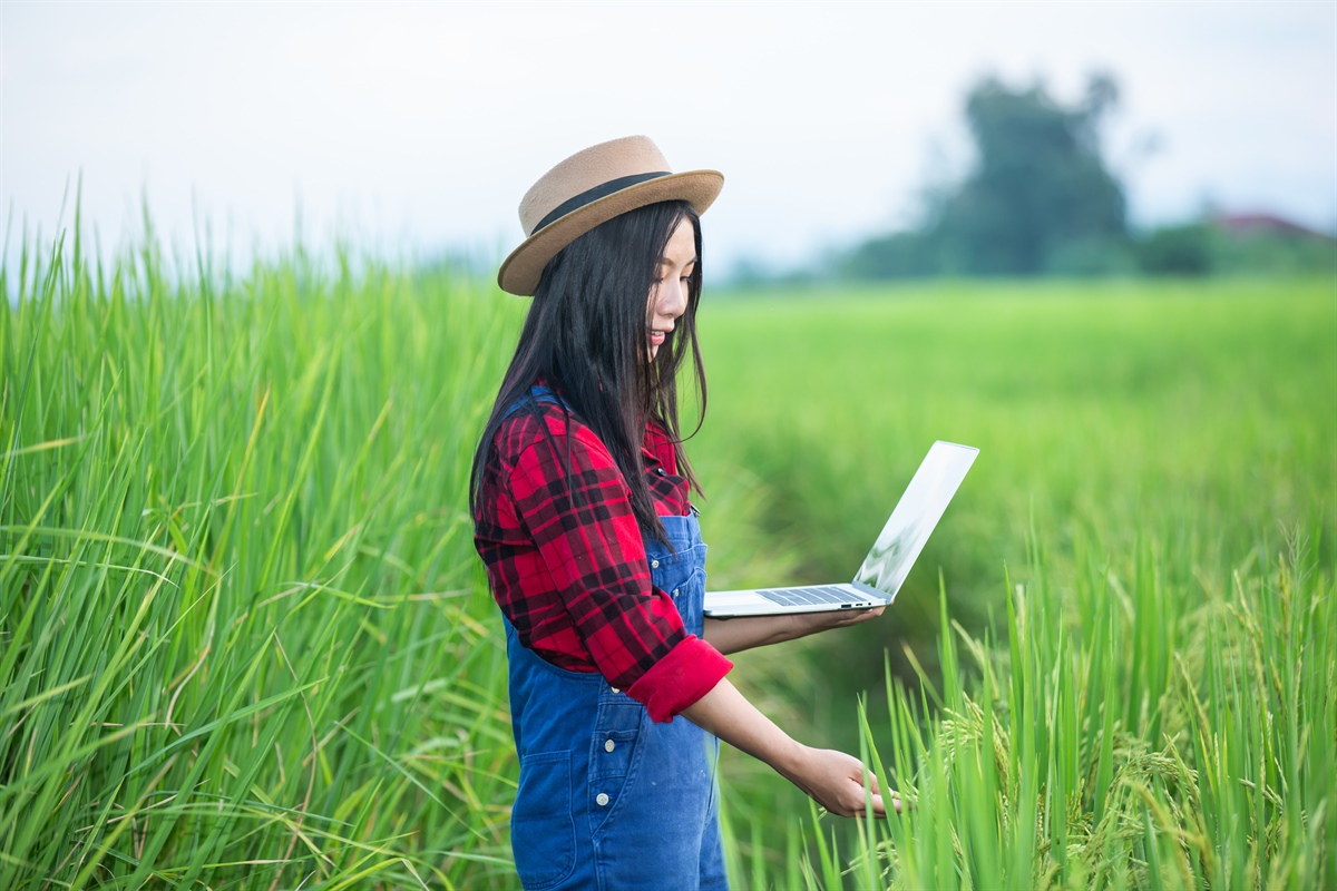 Cina, un Piano per lo sviluppo digitale dell'agricoltura