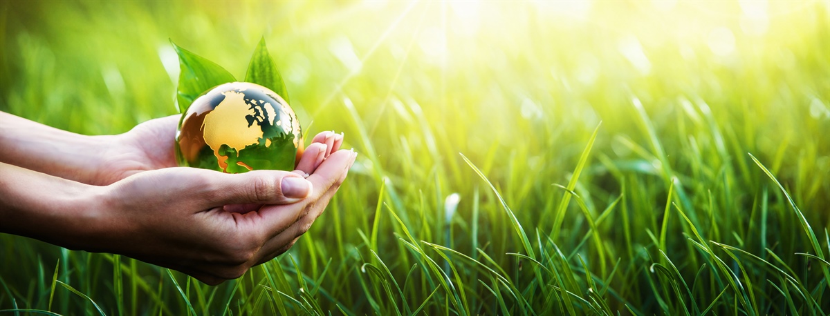 Ricerca Nielsen: difesa dell'ambiente è una priorità
