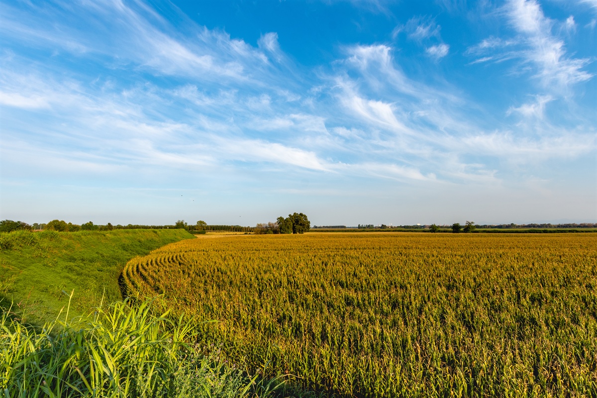 UnionCamere e Regione Lombardia, indagine su agricoltura lombarda