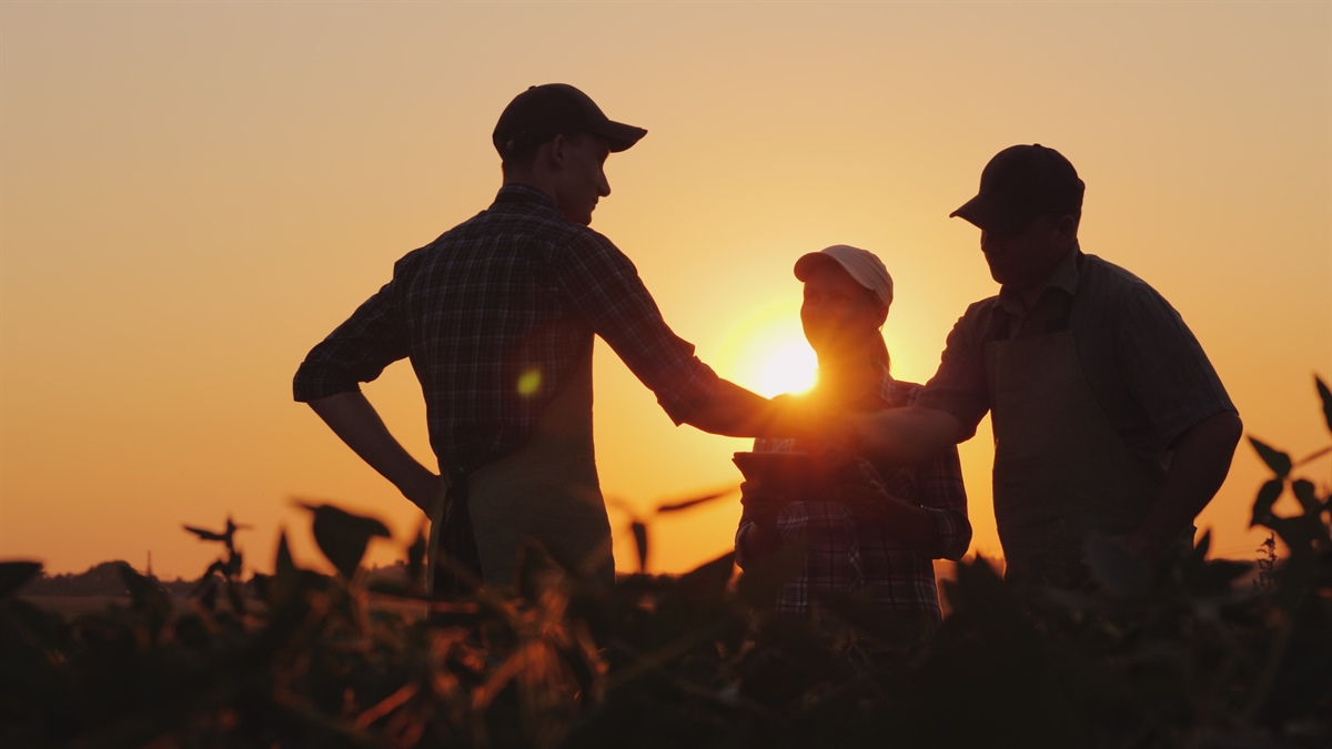 In aumento il numero di Organizzazioni di produttori agricoli