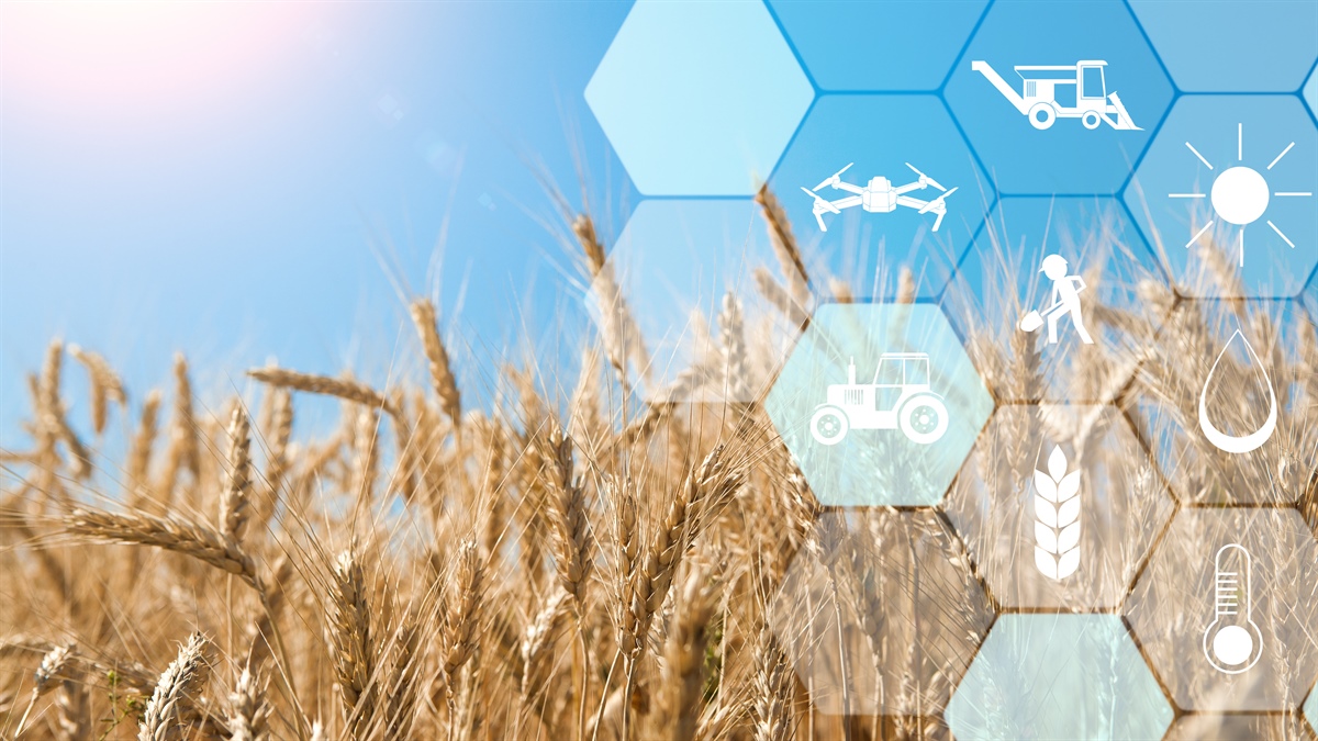 Airbus lancia AgNeo, piattaforma integrata per l'agricoltura di precisione