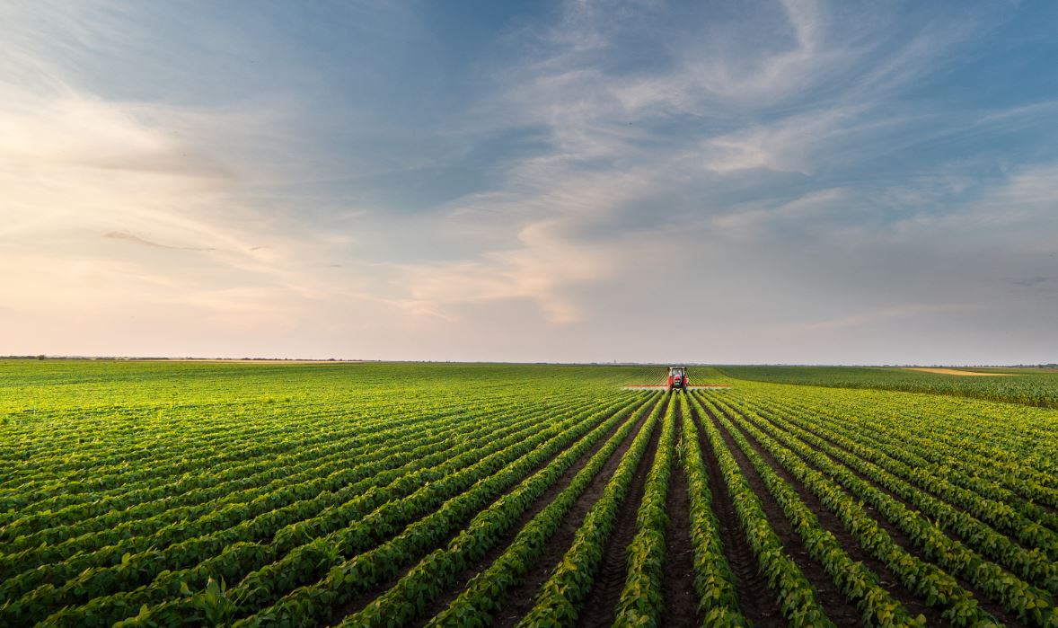 Corte dei conti Ue: per la politica agricola continuità e norme chiare