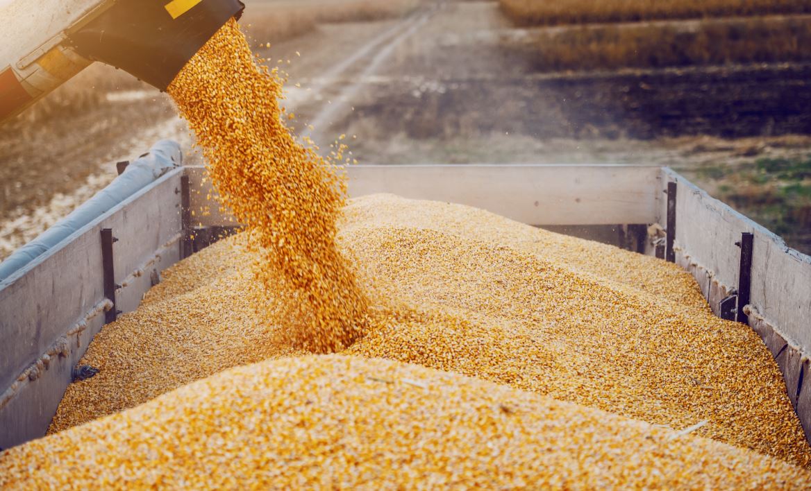 Agrifish, Bellanova: "Strumenti europei nuovi per rispondere all'emergenza Coronavirus".