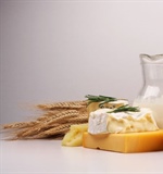 Fao, pubblicato Report sul mercato lattiero caseario