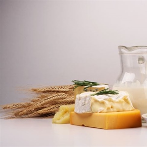 Fao, pubblicato Report sul mercato lattiero caseario