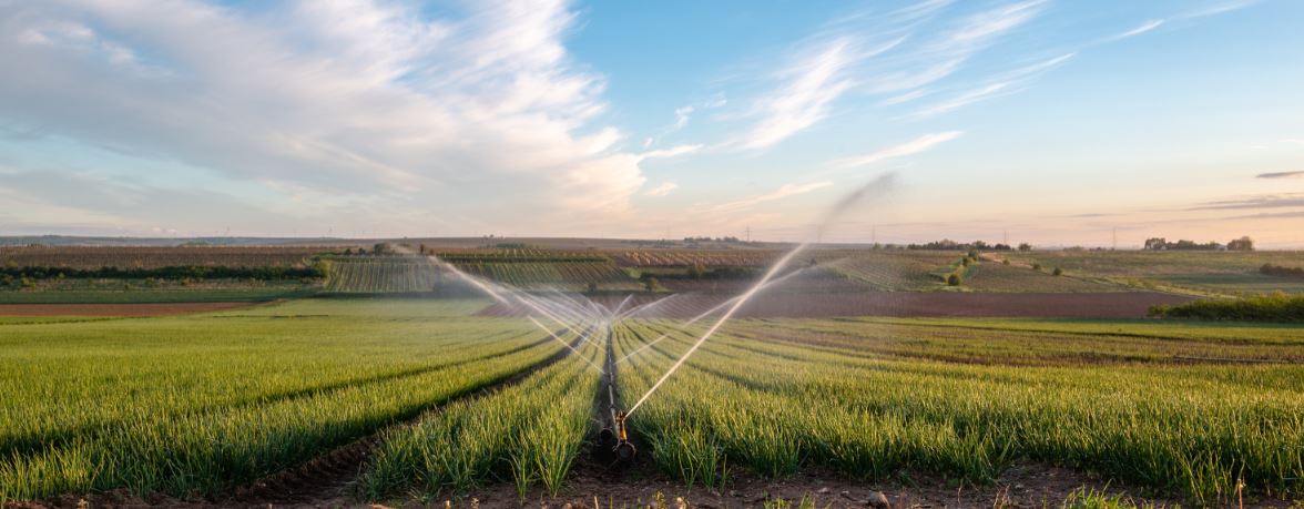 Ue, in arrivo nuove regole per l'irrigazione dei campi