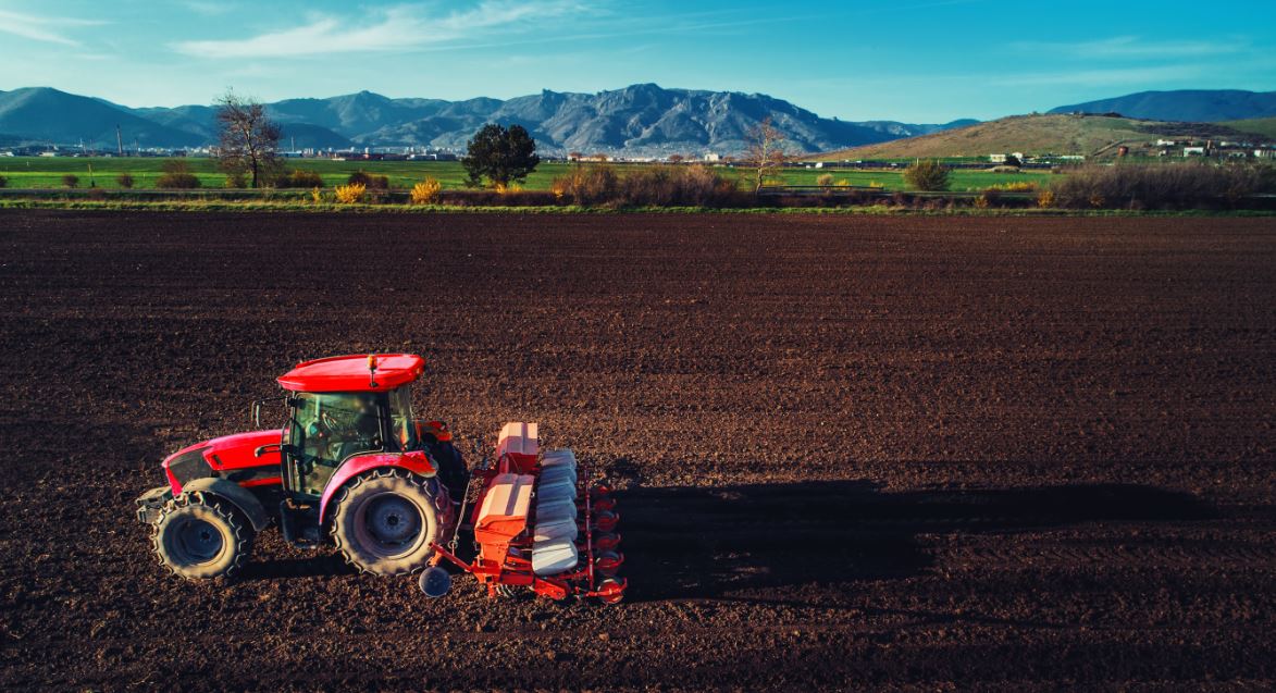 Coronavirus, Commissario agricoltura Ue scrive ai ministri dell'Ue
