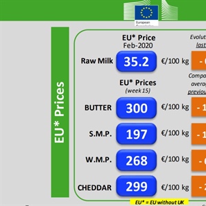 Ue, pubblicato aggiornamento dei prezzi dei prodotti lattiero caseari