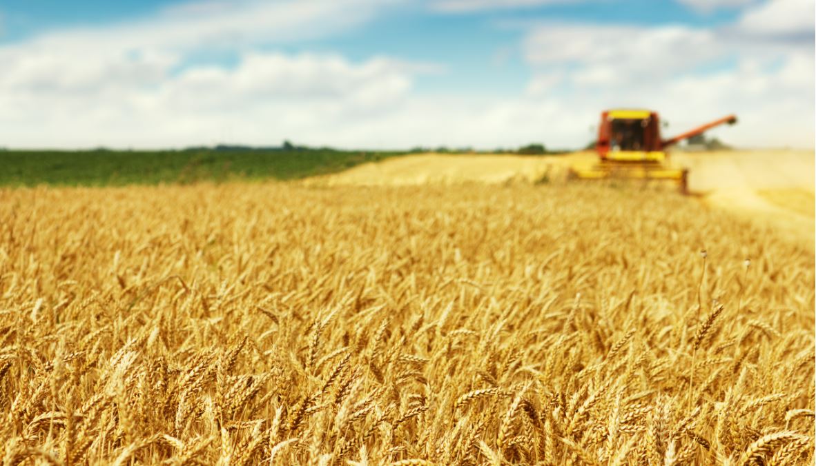 Coronavirus, nuove misure Ue per il settore agroalimentare
