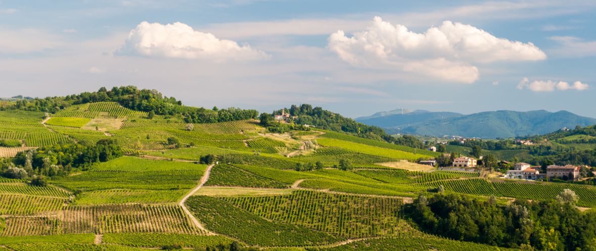 Innovazione e crescita sostenibile nel Rapporto 2019 sul sistema agroalimentare lombardo