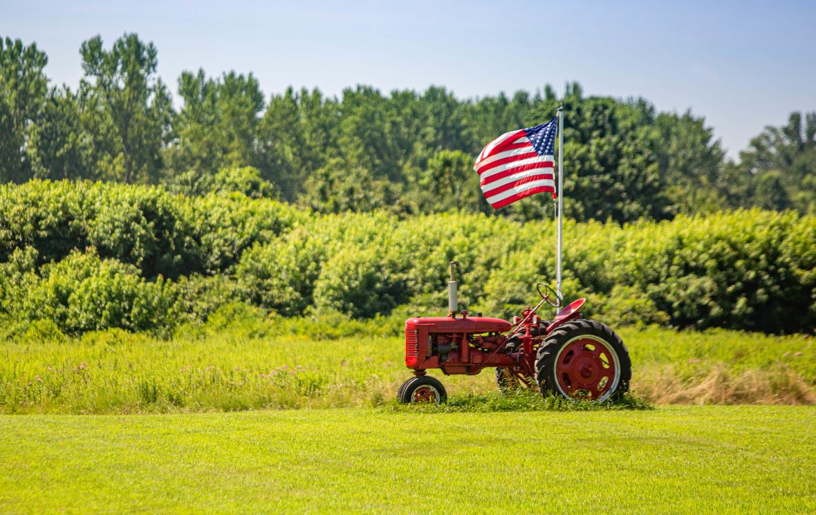 Usa, un piano da 19 miliardi di dollari per gli agricoltori