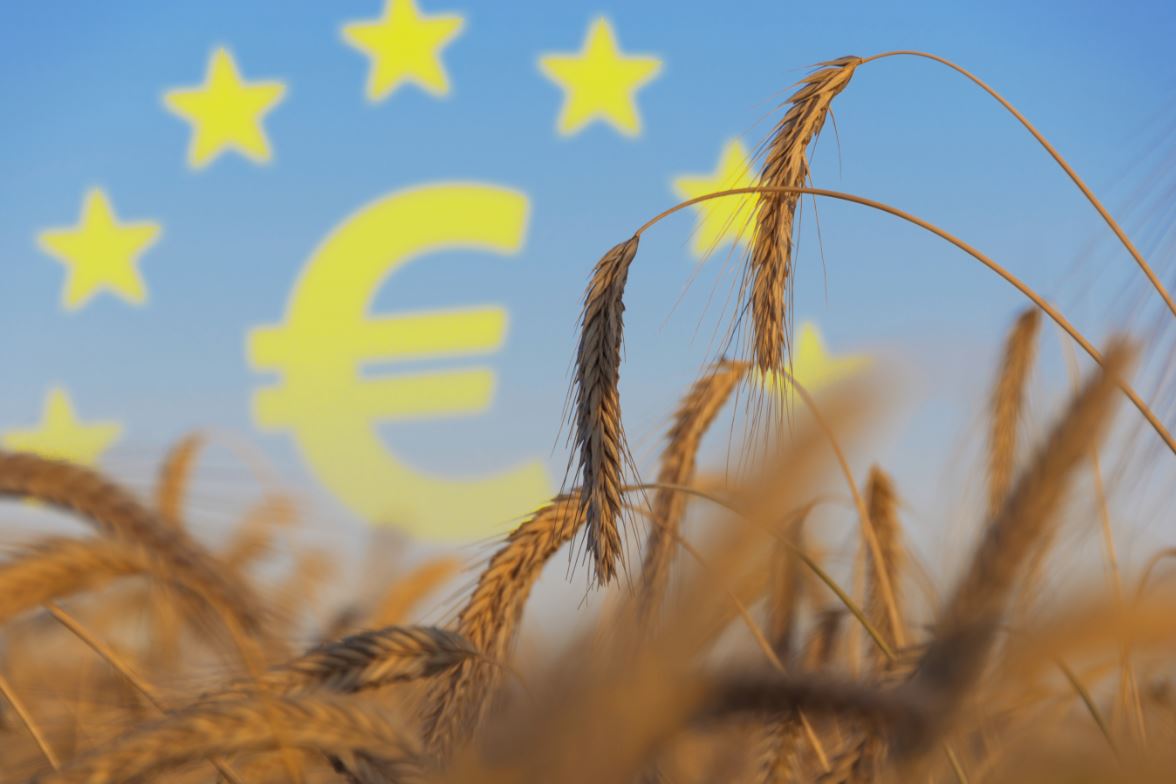 Ue: via libera al regime italiano da 100 milioni per sostenere agricoltura e pesca