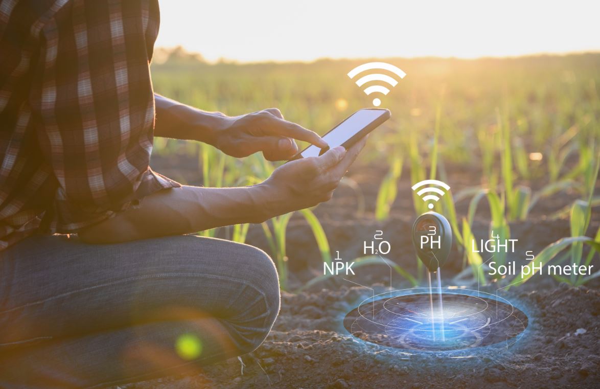 PoliMi: l’agricoltura 4.0 cresce con blockchain e QR Code