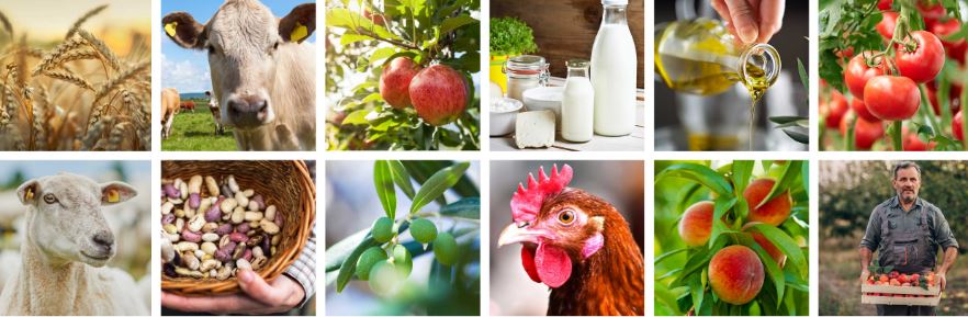 Coronavirus, le prospettive per l'agroalimentare