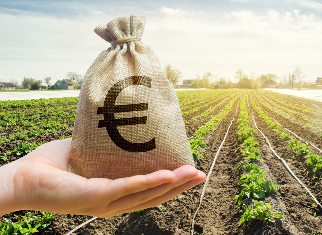 Agricoltura, Ue: via libera agli aiuti di Stato per le pmi italiane