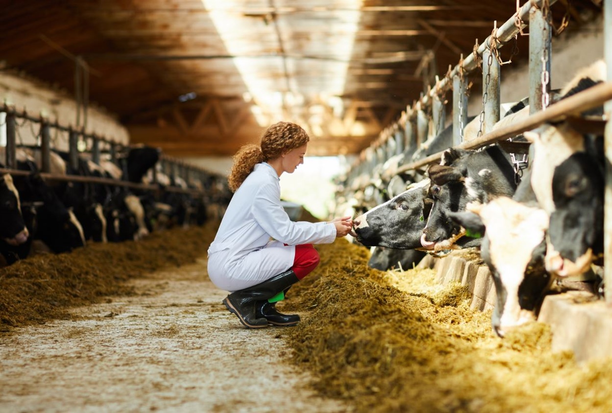 Coronavirus, nuove indicazioni ministeriali per le attività veterinarie