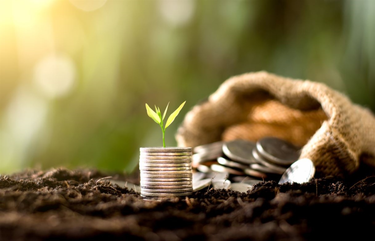 Nel Dl Rilancio fondi per il comparto agroalimentare