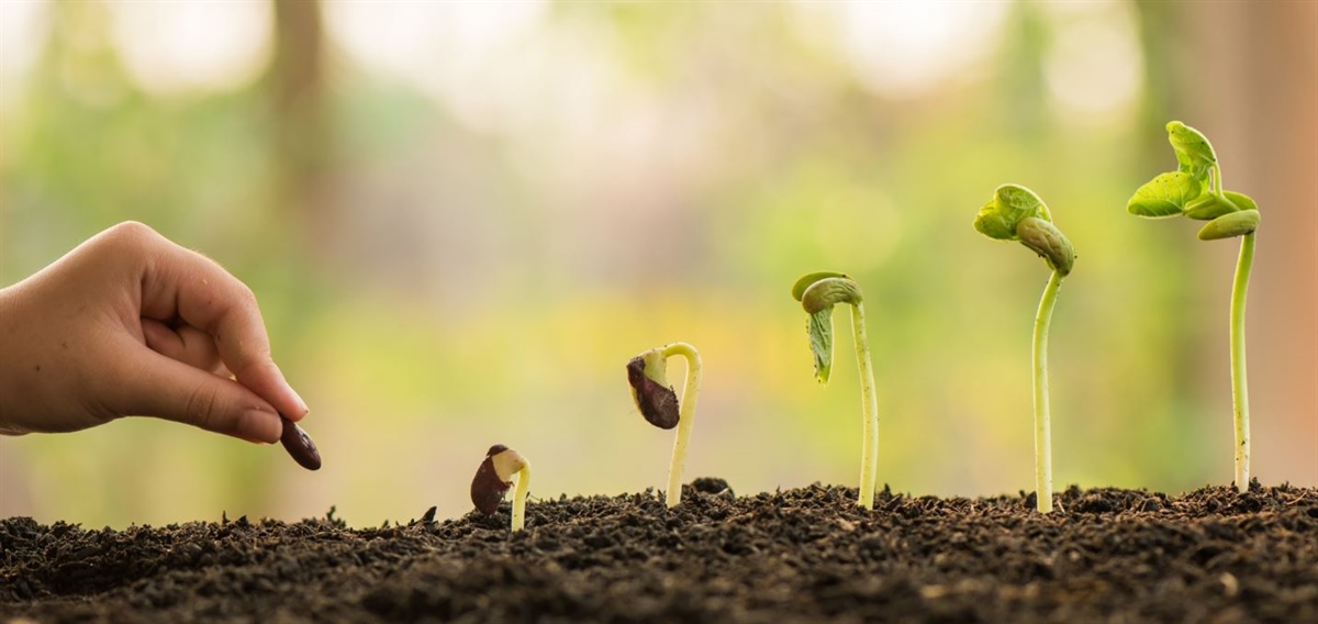 Decreto Rilancio, ecco le misure per il comparto agroalimentare