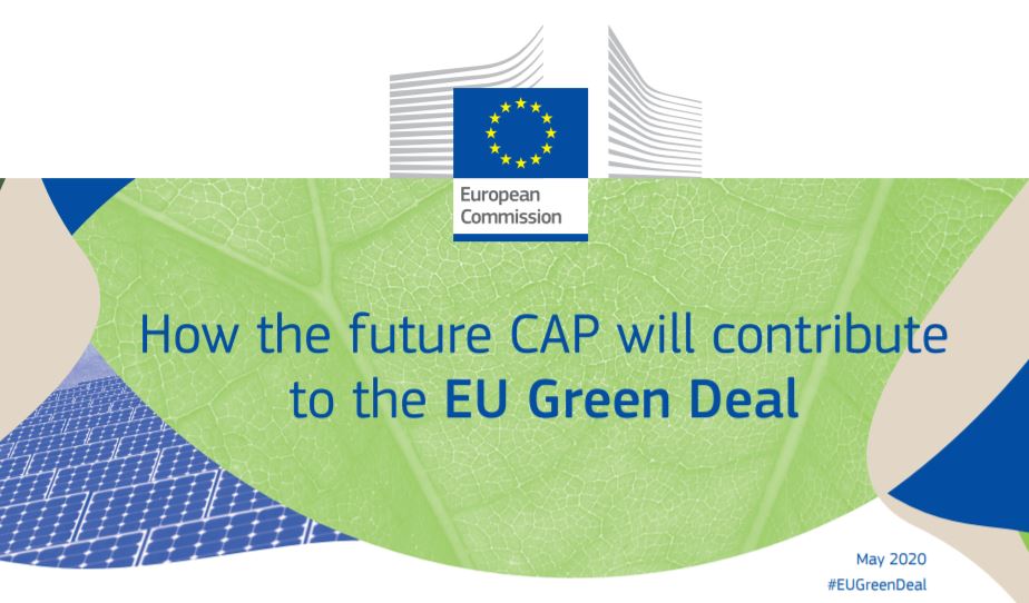 Commissione Ue: la riforma Pac è compatibile con gli obiettivi del Green Deal