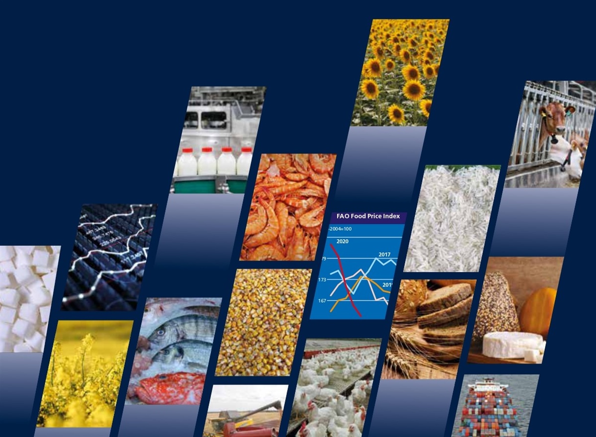 FAO: prospettive per i mercati delle principali commodity agricole