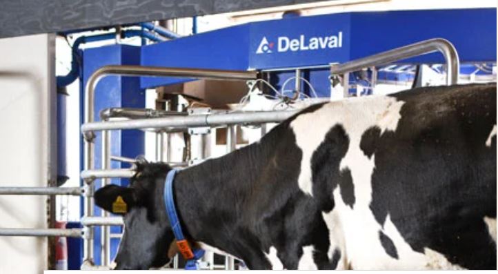 Delaval acquisisce milkrite | InterPuls