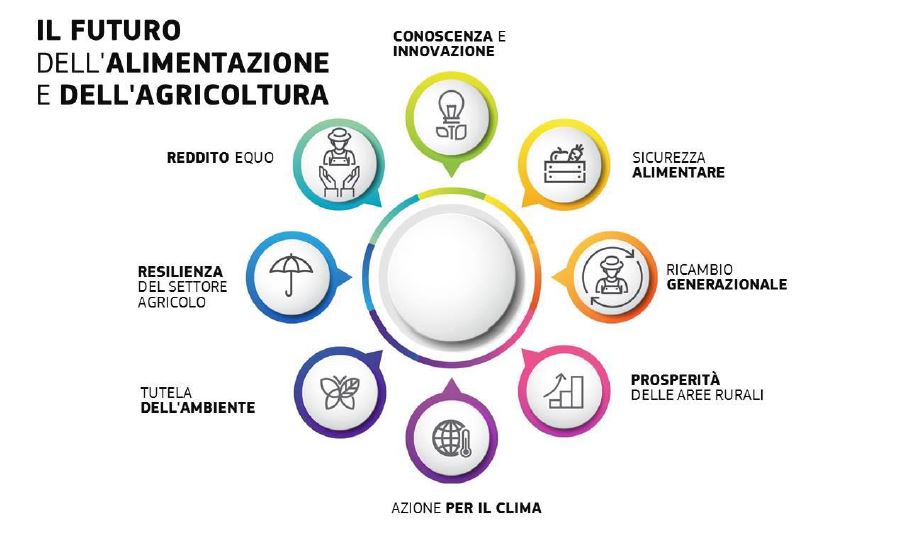 Quale PAC dopo il 2020?