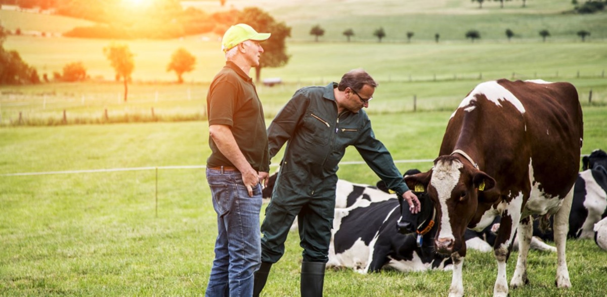 Arla: il 90% dei soci aderisce al programma Check Climate