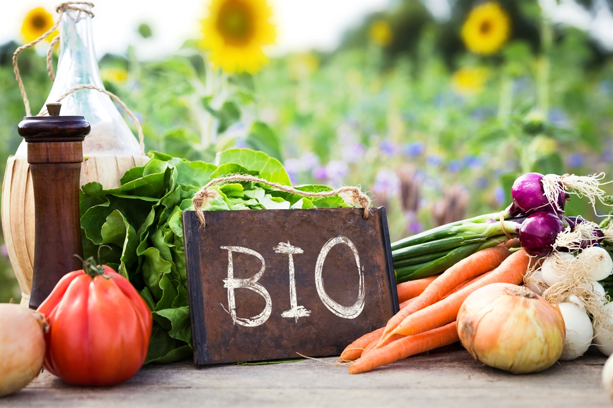 Nuova normativa BIO: Commissione Ue propone rinvio al 2022
