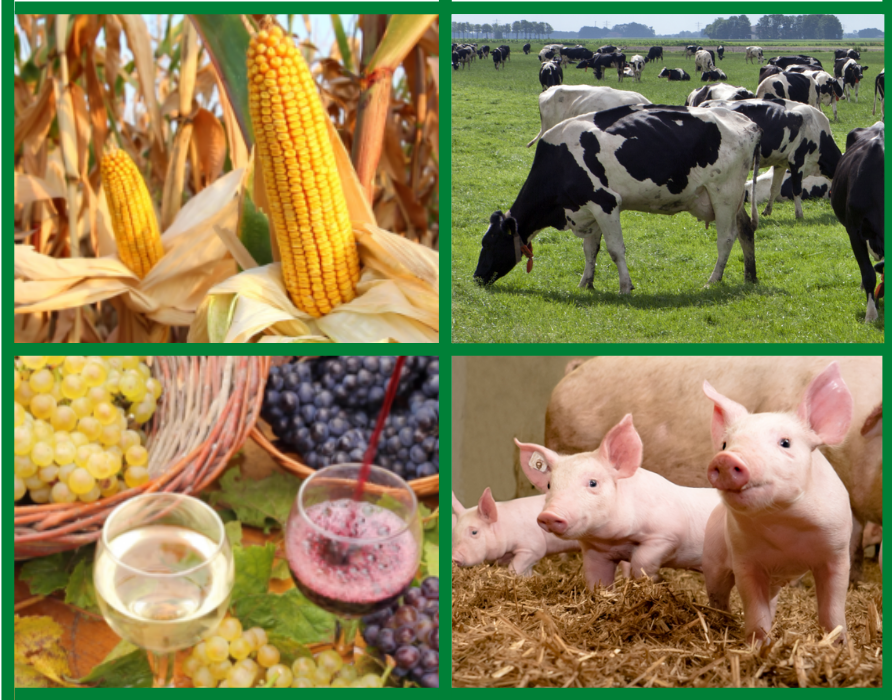SAVE THE DATE: 30 settembre "L'agricoltura in Lombardia nel I semestre 2020"