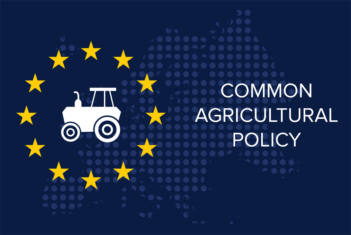 Ministri UE: a ottobre, orientamento definitivo per la nuova PAC