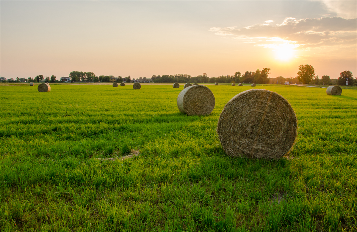 Covid19, cooperazione agroalimentare antidoto alla crisi