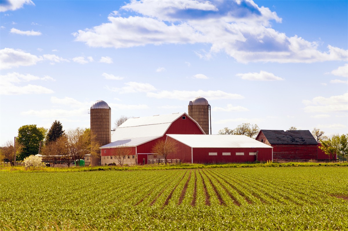 Usa, con la pandemia emerse criticità strutturali nel sistema agroalimentare