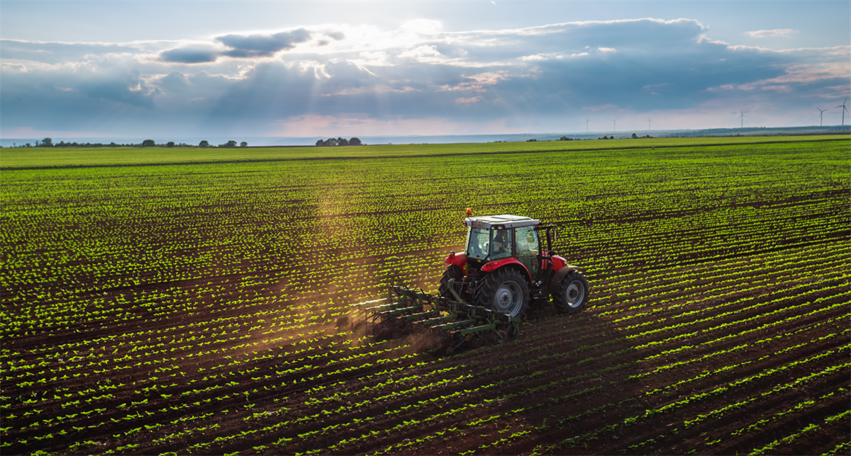 Gli europei pensano che la PAC deve sostenere maggiormente gli agricoltori