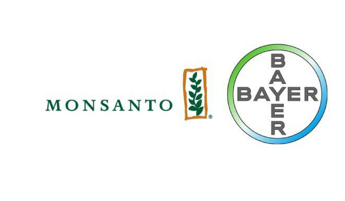 Commissione europea: via libera all'acquisizione di Monsanto da parte di Bayer, a certe condizioni