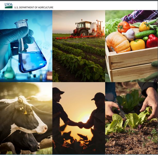 USA: le sfide per la ricerca e innovazione nel settore agroalimentare