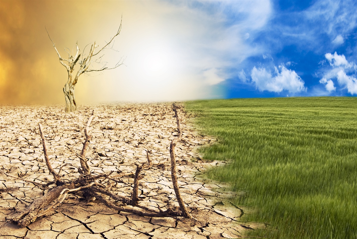 Ue, nuova Strategia per l'adattamento ai cambiamenti climatici